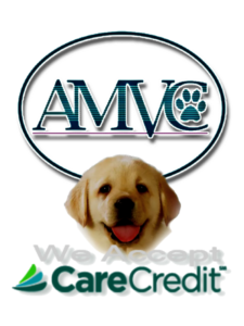 Stephen Atwater  VCA Encina Veterinary Medical Center