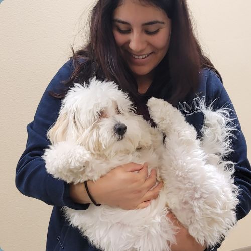 Atwater Veterinary Center Staff holding a fluffy white dog