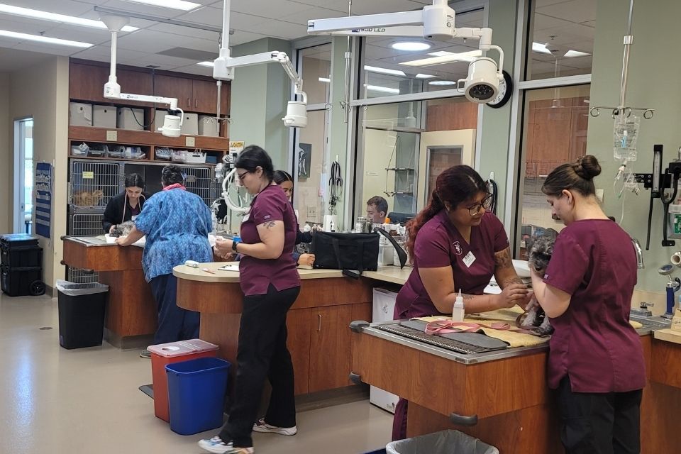 Atwater Veterinary Center Staff working