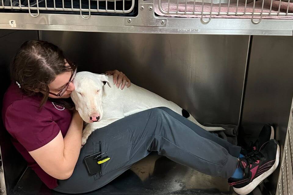 Atwater Veterinary Center staff comforting a dog in a kennel