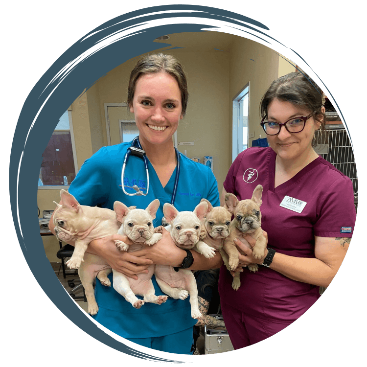 Atwater Veterinary Staff Holding puppies