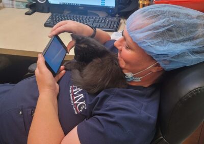 Black kitten sleeping on vet