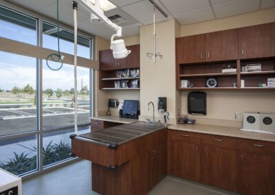 Bright veterinary clinic examination space