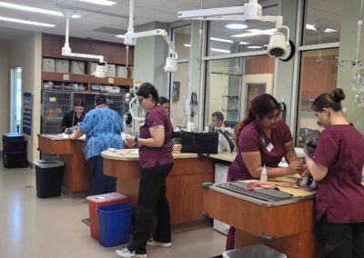 Busy veterinary clinic with staff.