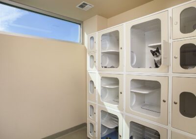 Cat peeking out of enclosure