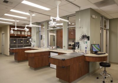 Clean, modern veterinarian treatment area.