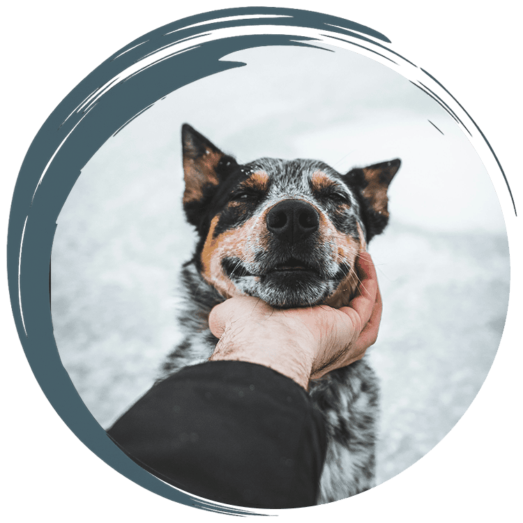 Atwater Veterinary Staff Holding puppies