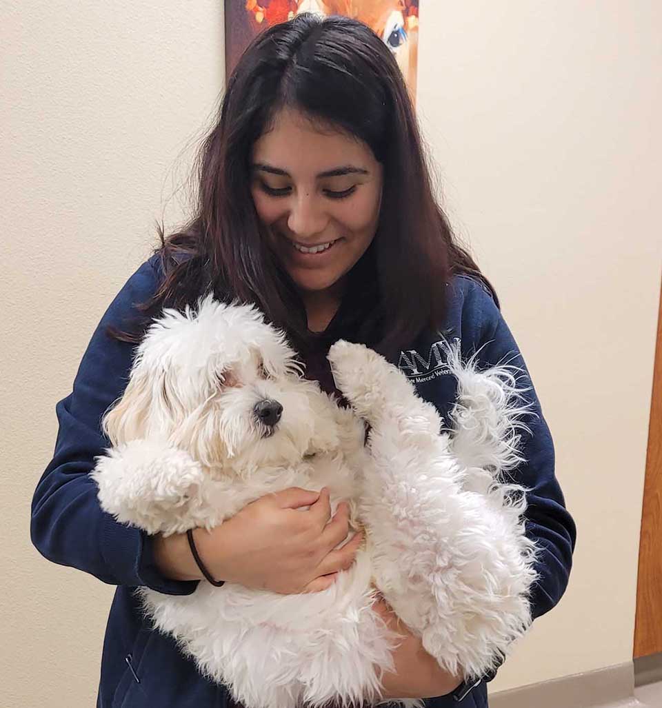 Dog held at veterinary clinic