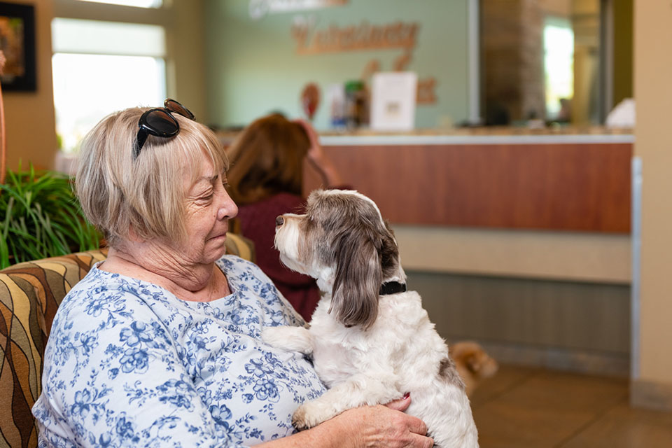 Dog looks at senior woman.
