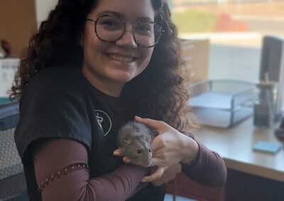 Person holds pet rat indoors.