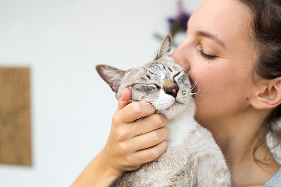 Smiling cat being held tightly.