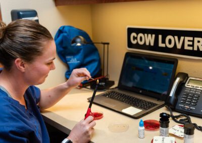 Sterilizing loop for lab experiment.