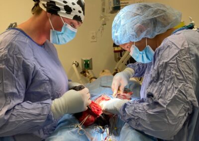 Two masked surgeons in operating room