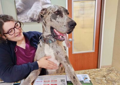 Vet tech and happy dog.