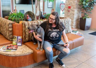 Veterinarian lobby with happy dog
