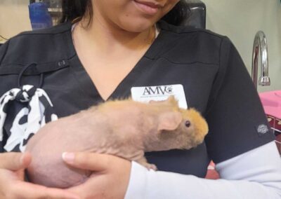 Woman affectionately holds skinny pig