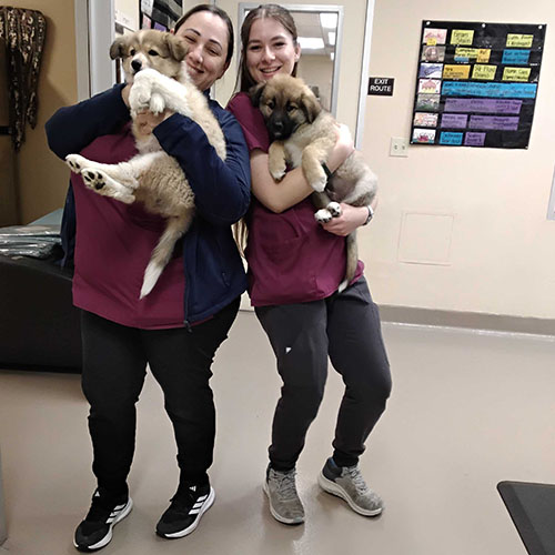 Two women cuddling cute puppies